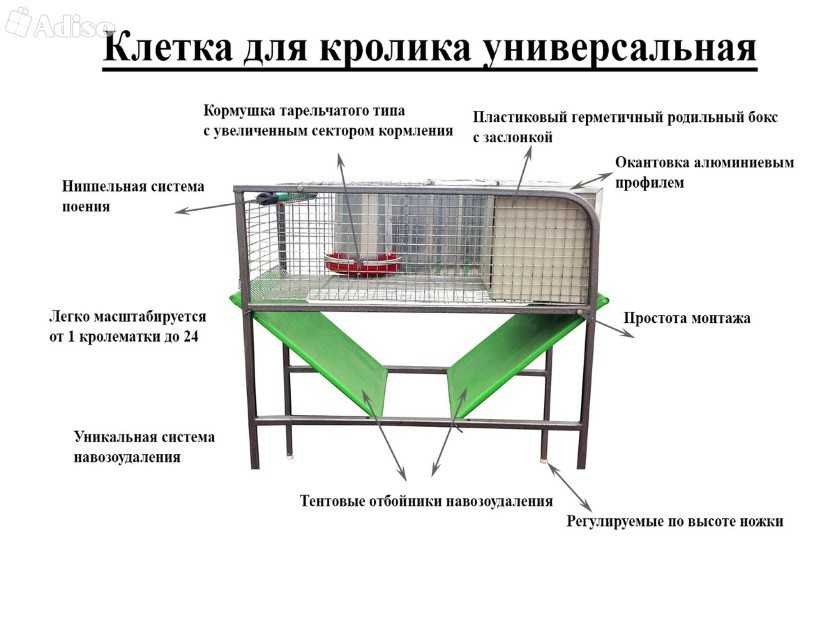 Клетки кроликам схема сделать своими руками видео: 🐇 Клетка для кроликов своими руками: пошаговая инструкция