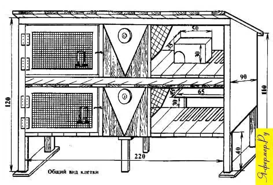 Клетка для крольчихи с маточником своими руками: Маточник для кроликов своими руками: чертежи -