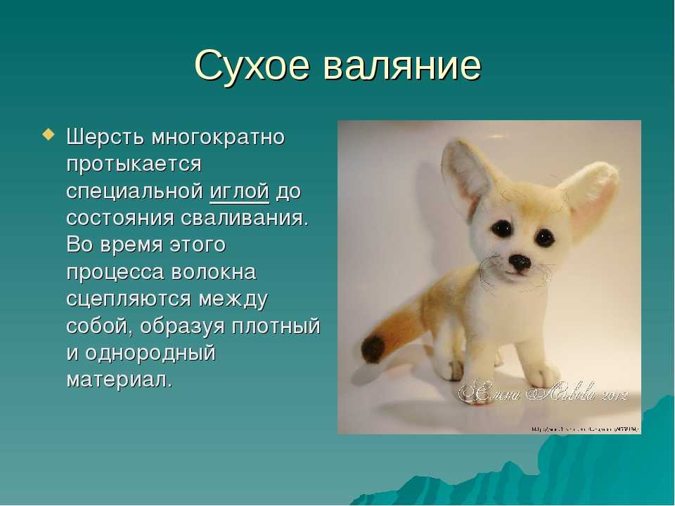 Что нужно для мокрого валяния из шерсти для начинающих: Мокрое валяние из шерсти для начинающих — мастер-класс по изготовлению шерстяного панно