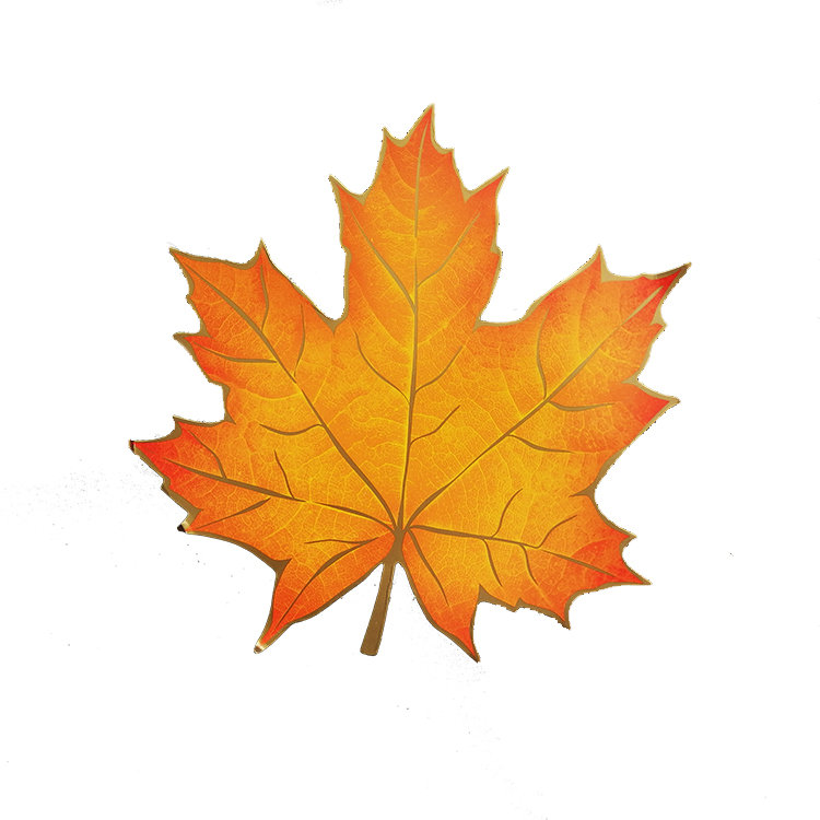 Картинки осенних листьев для детей: Картинки осенние листья для детей