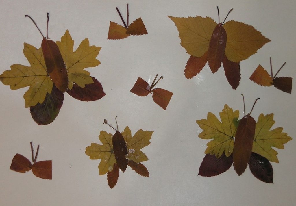 Аппликации из осенних листьев 3 класс: 100 фото + шаблоны в садик и школу