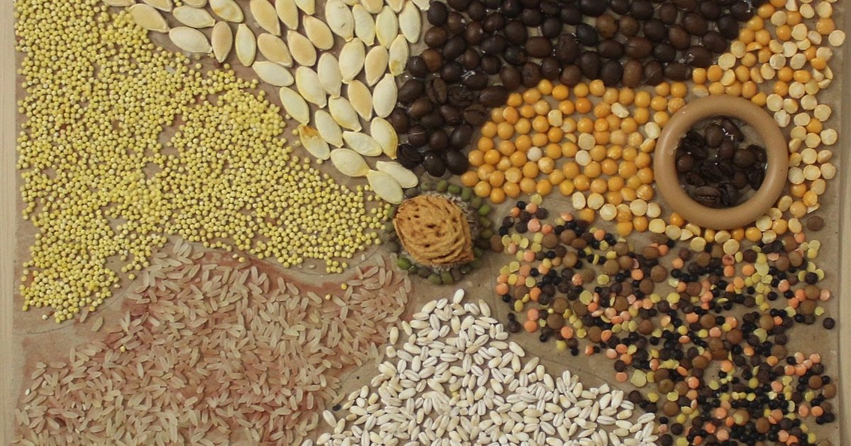 Поделки из круп и семян своими руками фото: Поделки из круп, семян и зерен кофе. Фото и мастер-класс