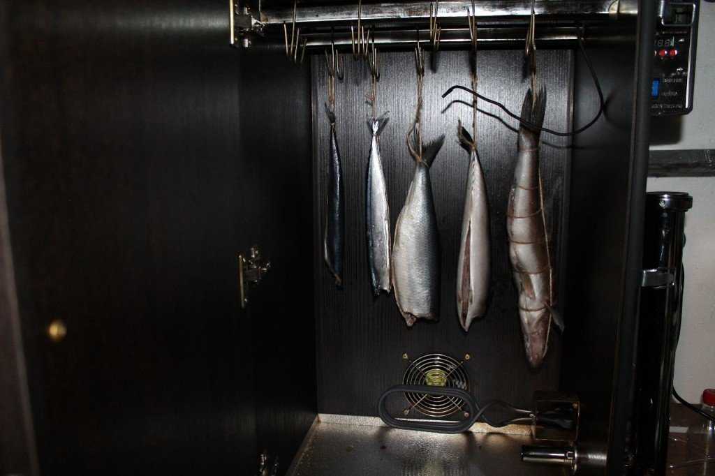 Коптильня холодного копчения рыба: Холодное копчение: секреты и особенности