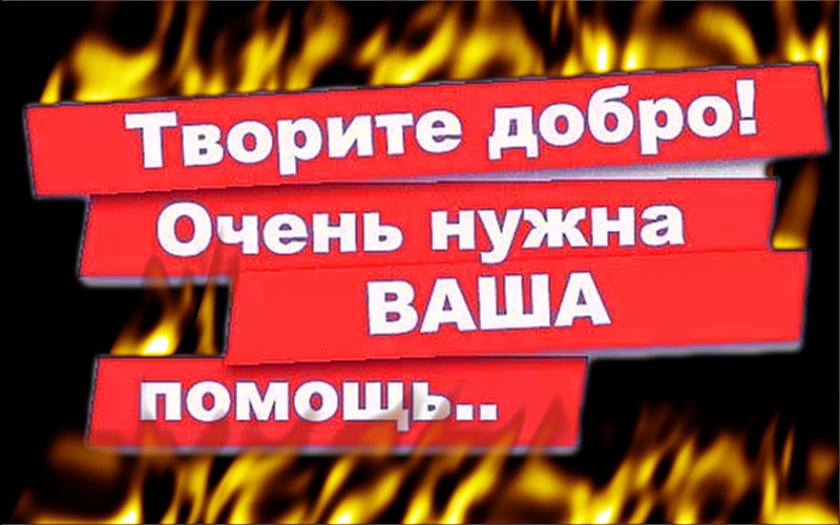 Картинки открыт сбор: Картинки закупка в понедельник (45 фото) » Юмор, позитив и много смешных картинок
