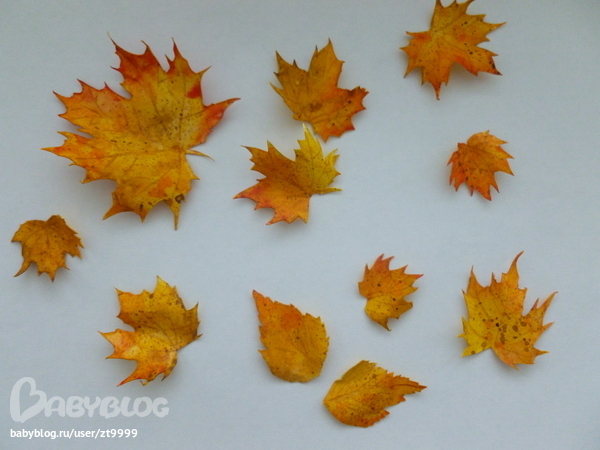 Осенние листья мастер класс из бумаги: Поделки из листьев - 100 фото лучших идей подделок из сухих осенних листьев