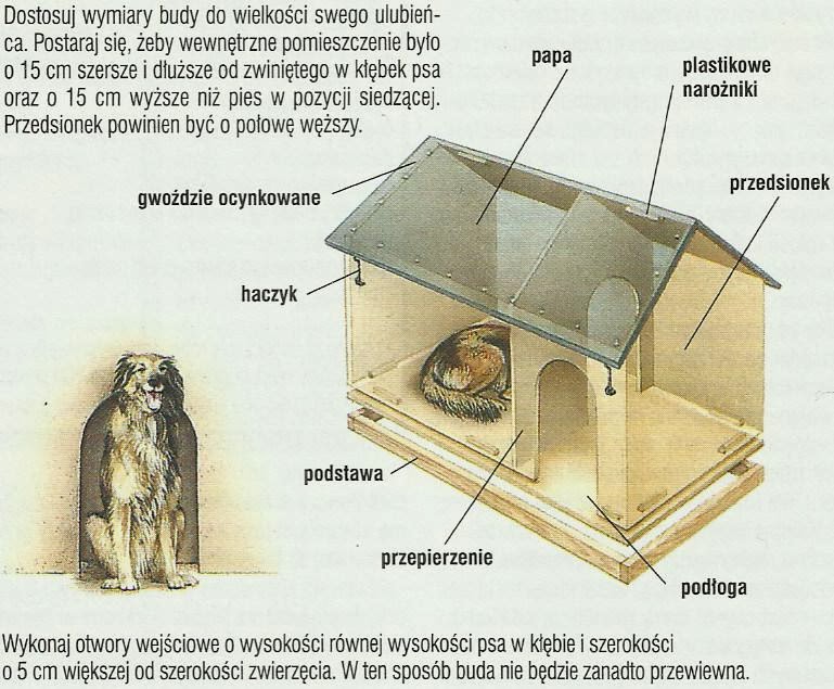 Как сделать будку для собаки своими руками в домашних условиях схема: фото и чертежи удачных конструкций