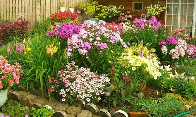Как красиво оформить огород и цветники на даче фото: Как красиво оформить огород и цветники на даче фото