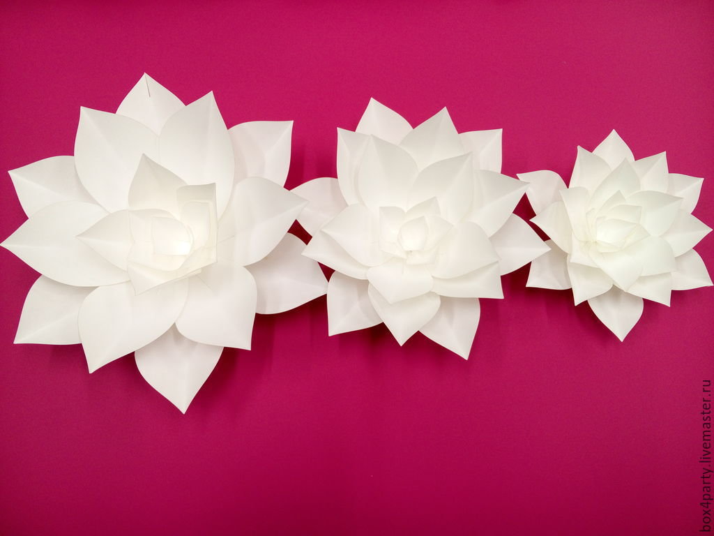 Мастер класс по изготовлению белого цветка из бумаги: Страница не найдена – Благотворительная акция Белый цветок