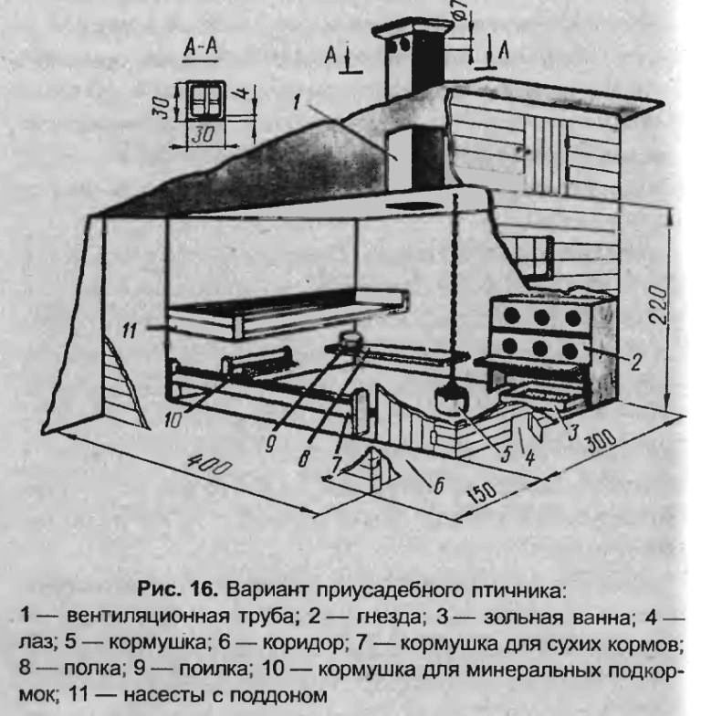 Курятник на 20 кур своими руками чертежи: как построить сарай для кур своими руками, красивый проект для строительства конструкции на 50 голов