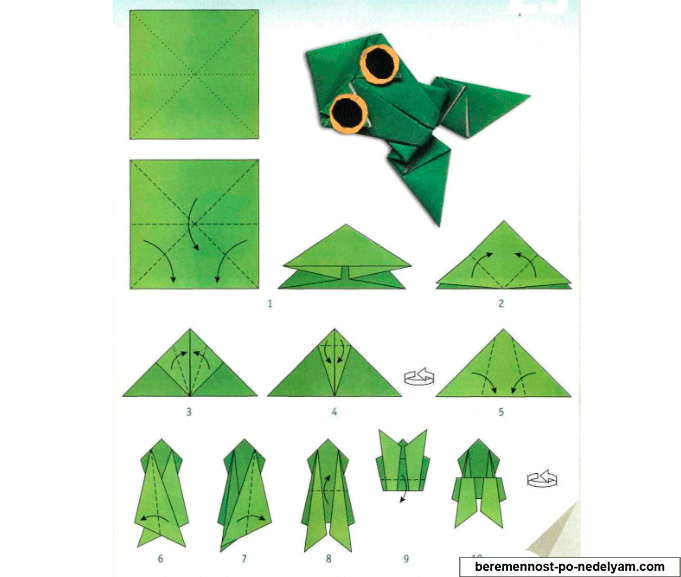 Оригами лягушка простая схема для детей: Прыгающая лягушка оригами из бумаги