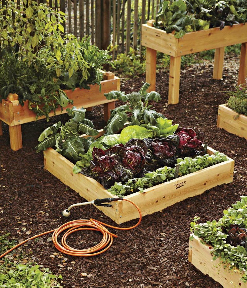 Идеи для дачи и огорода: Интересные идеи для дачи, дома, сада и огорода: оформление из подручных материалов