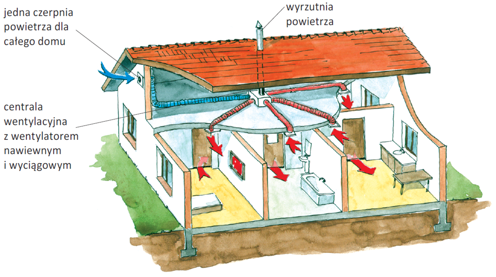 Как в частном доме делать вентиляцию в: Вентиляция в частном доме. Обзор систем.