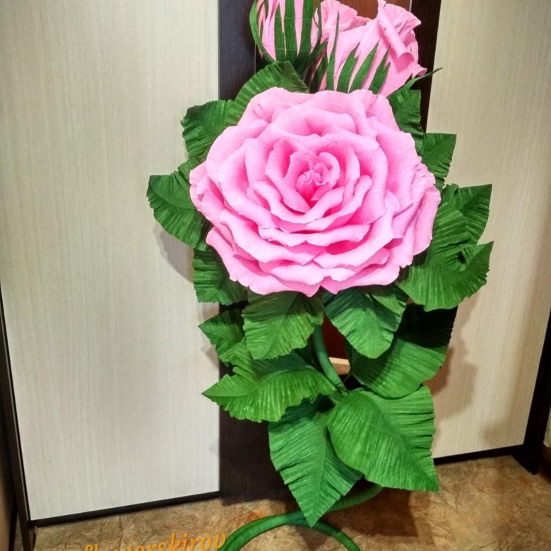 Розы из бумаги огромные: 4 мастер-класса, 70 фото и 2 видео