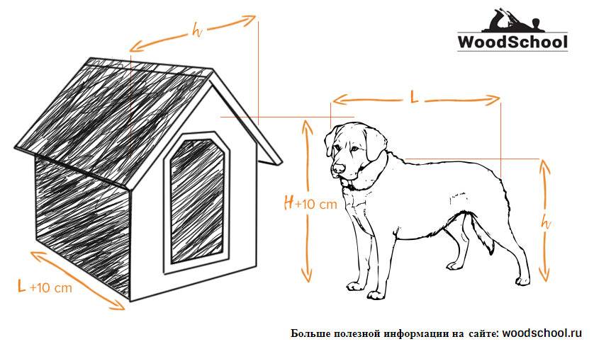 Как сделать будку для собаки своими руками в домашних условиях схема: фото и чертежи удачных конструкций