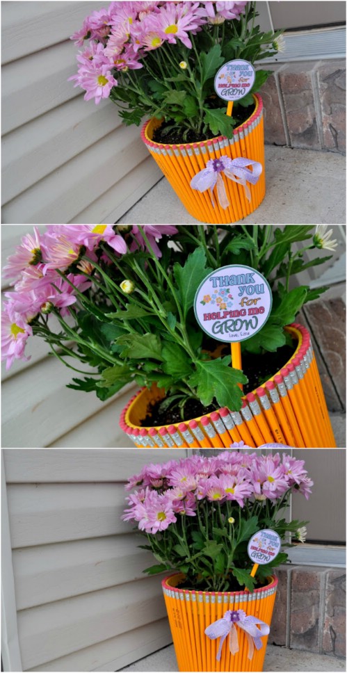 Pencil Pot