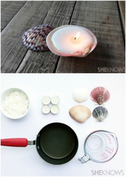 Seashell Candles