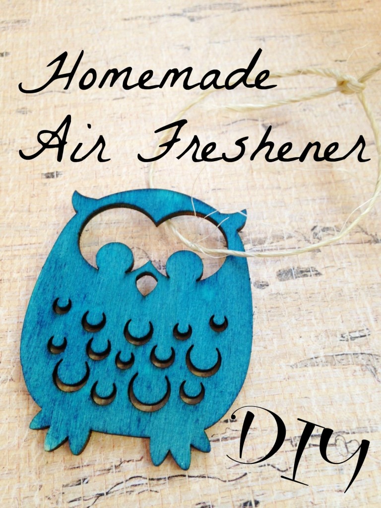 DIY Air Freshner