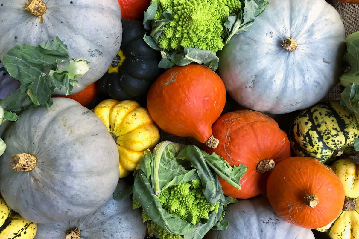 fall vegetables
