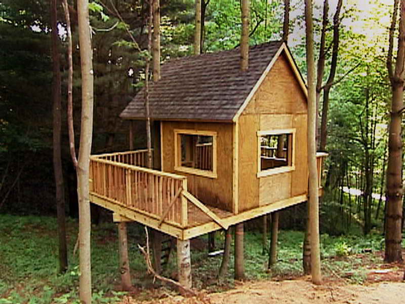 Как сделать дом из дерева: Как построить деревянный дом своими руками (74 фото)