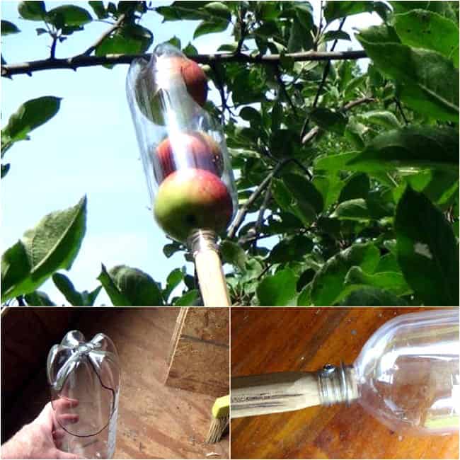 2 litre bottle apple picker