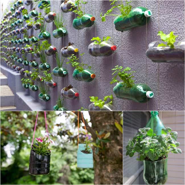 Hanging planters