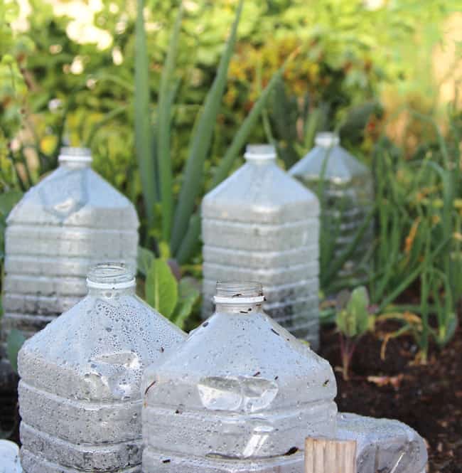 Instant mini greenhouse