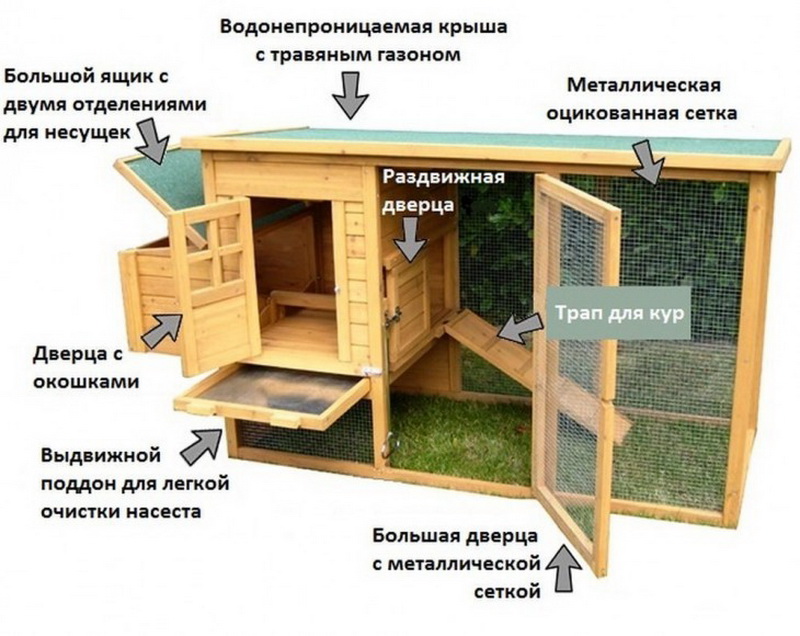 Планировка курятника: Устройство зимнего курятника: планировка, утепление, обогрев