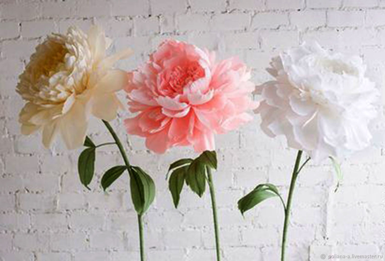 Бумажные большие цветы: Большие бумажные цветы – Купить или заказать на Ярмарке Мастеров