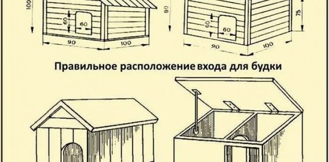 Будка для лайки своими руками: размеры, модели, как сделать своими руками, пошаговая инструкция с фото