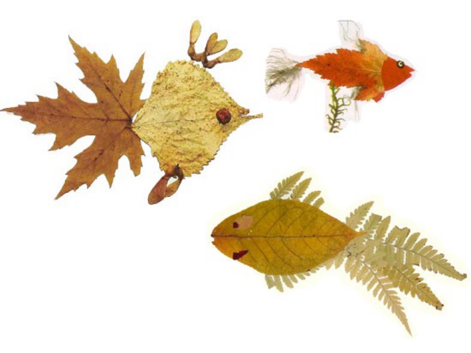 Золотая рыбка из листьев: Золотая рыбка из осенних листьев - Поделки из природного материала , Подводный мир, для детей от 7 лет