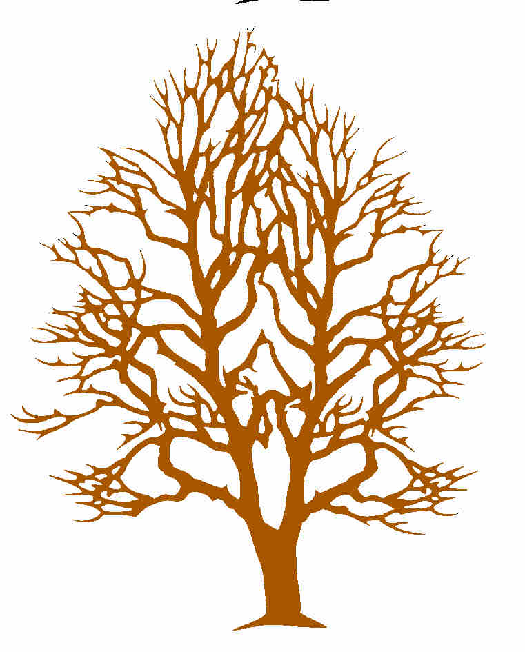 Шаблон осеннего дерева для аппликации: Аппликация из сухих листьев «Осеннее дерево» своими руками для детей. Мастер-класс с пошаговым фото.