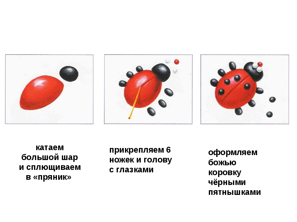 Божья коровка из соленого теста пошаговая инструкция: Божья коровка из соленого теста — Вектор-успеха.рф