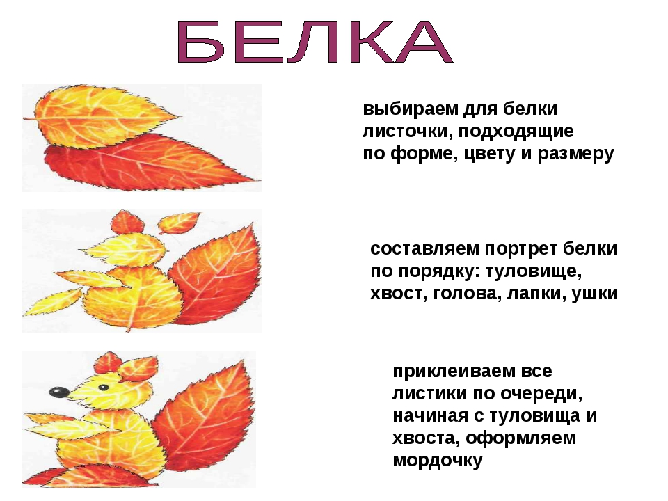 Белка из осенних листьев: Белочка из осенних листьев - Поделки из природного материала , Аппликация, для детей от 7 лет