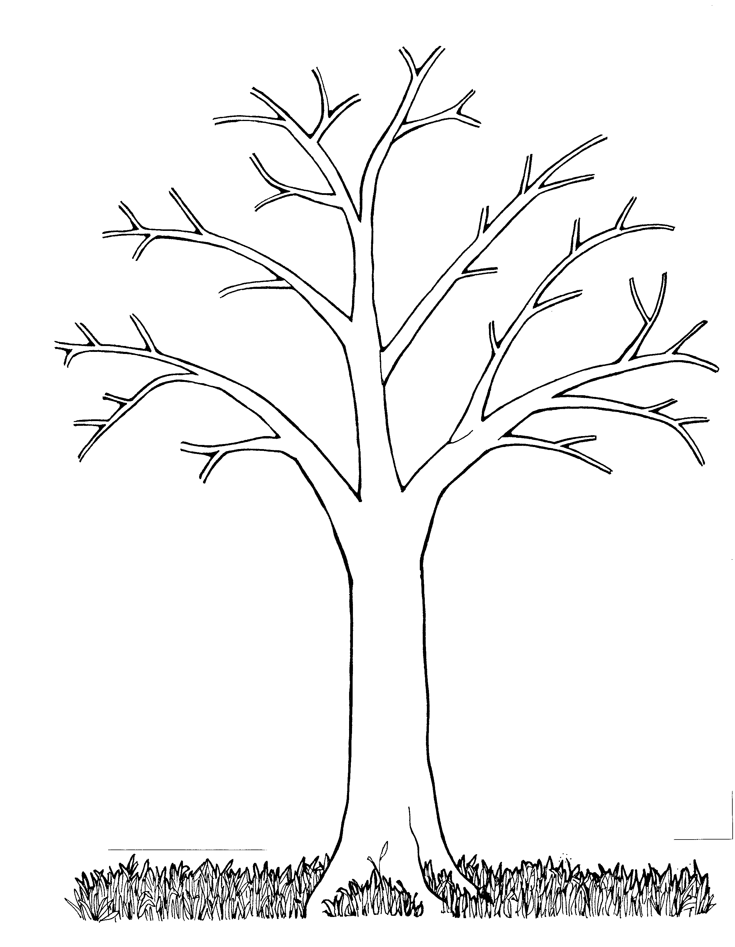 Шаблон осеннего дерева для аппликации: Аппликация из сухих листьев «Осеннее дерево» своими руками для детей. Мастер-класс с пошаговым фото.