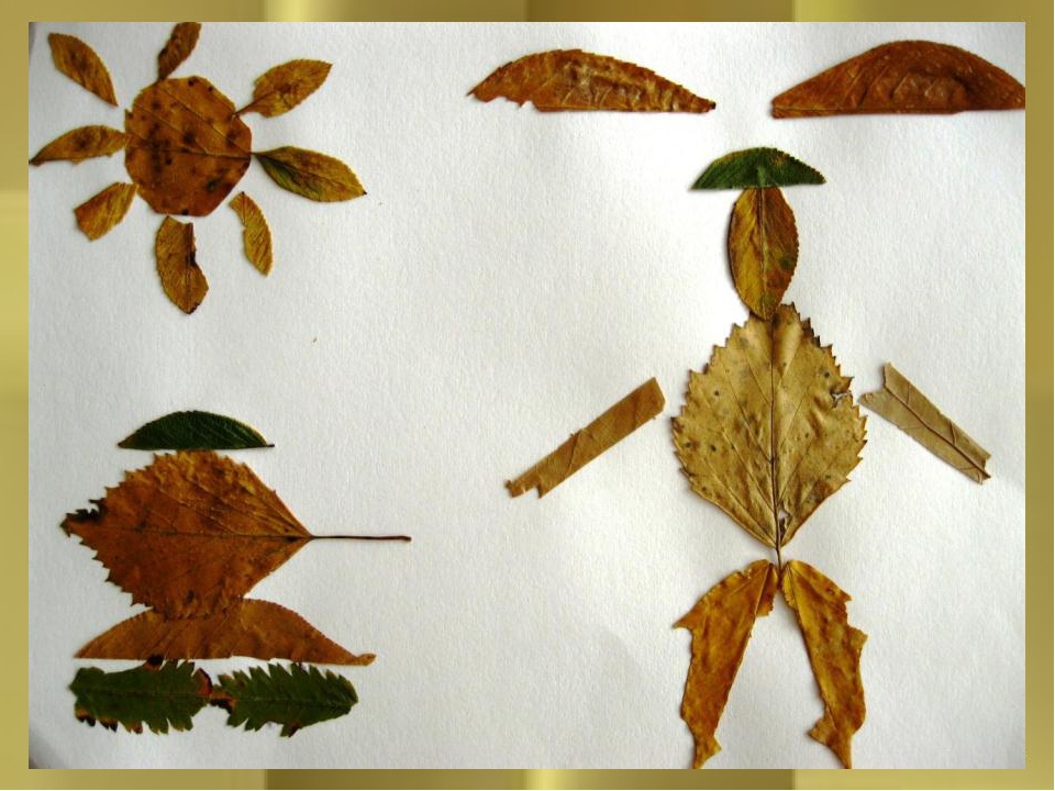 Поделка из сухих листьев на бумаге: Страница не найдена | remontnichok.ru