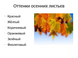 Оттенки осенних листьев Красный Жёлтый Коричневый Оранжевый Зелёный Фиолетовый 