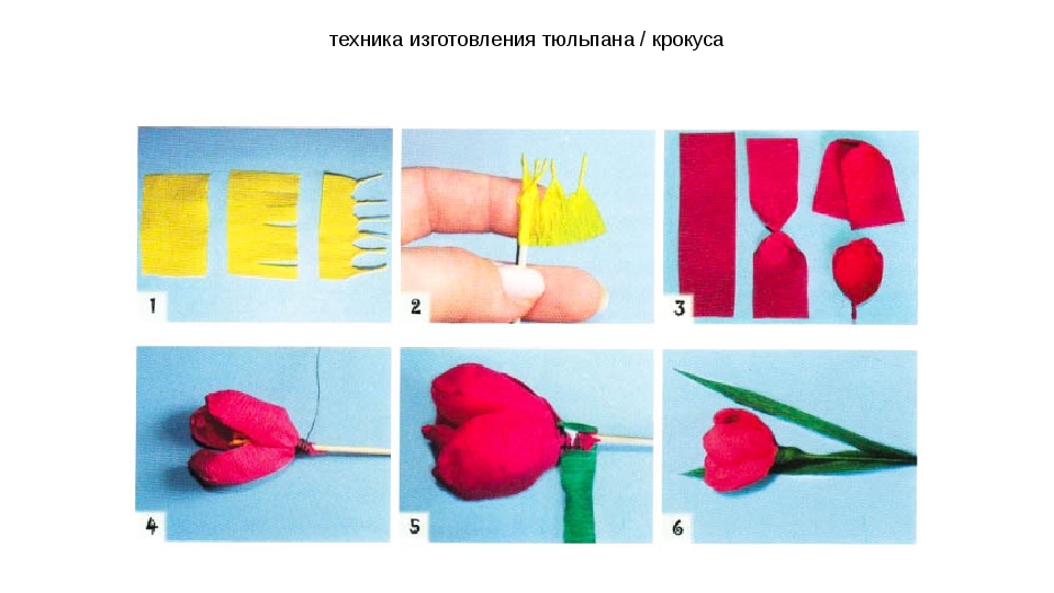 Тюльпан из гофрированной бумаги своими руками: Тюльпаны из гофрированной бумаги | Сделай сам своими руками