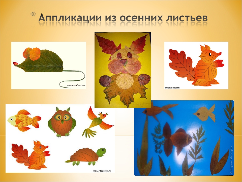 Поделки из листьев 1 класс презентация: Презентация на тему "Аппликации из осенних листьев" о технологии для 1 класса