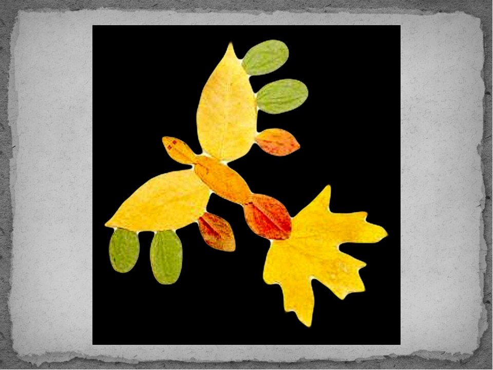 Аппликации из осенних цветов и листьев: аппликации из сухих цветов: 15 тыс изображений найдено в Яндекс.Картинках