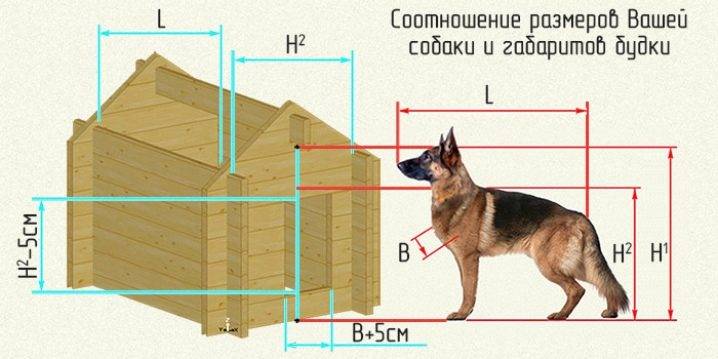 Как построить собаке будку своими руками пошагово с фото: чертежи и схемы, домашняя и уличная, утепление