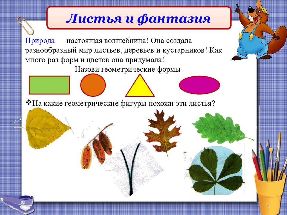 Аппликация из листьев 2 класс урок: Конспект урока по технологии на тему "Аппликация из осенних листьев Бабочка" (2 класс)