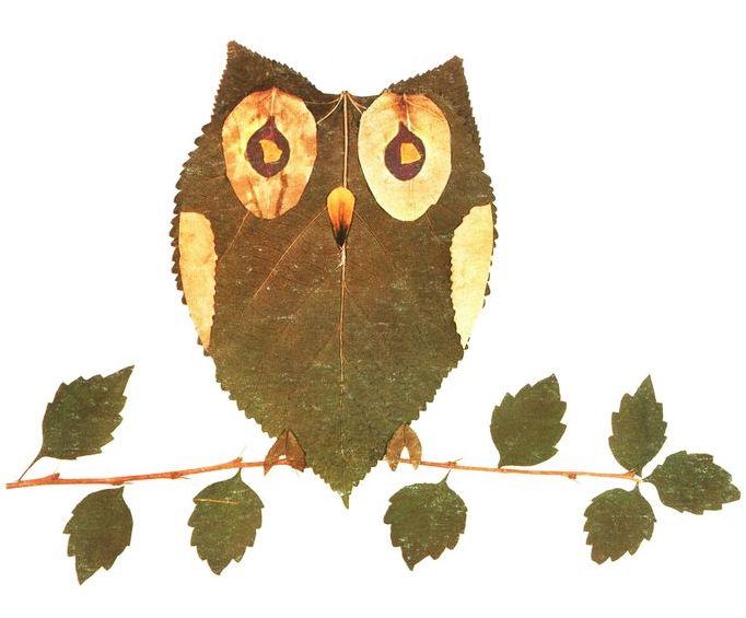 Шаблон совы для поделки из листьев: Сова из листьев поделка своими руками