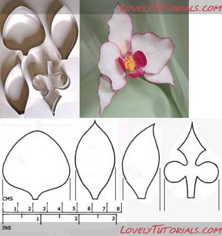 Цветы шаблон из фоамирана: Из фоамирана цветы шаблон | Идеи для рукоделия
