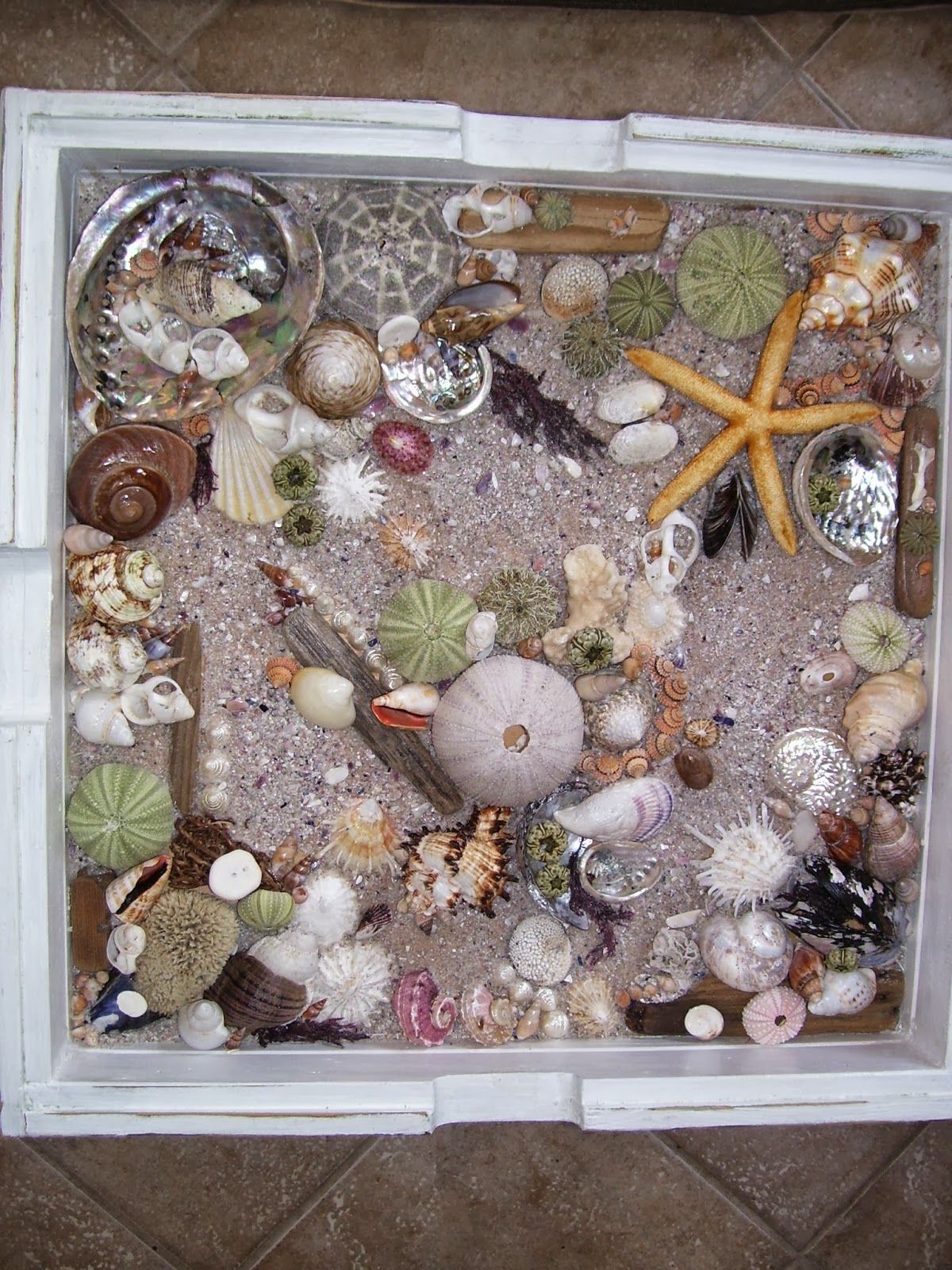 Сетка из ракушек: Сетка с ракушками и буйками, 110*150 см, белая