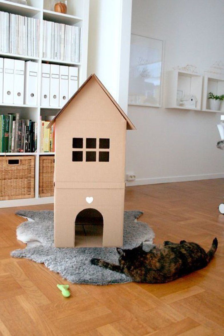 Своими руками дом для кошки из картона: рекомендации по созданию кошачьих домиков.