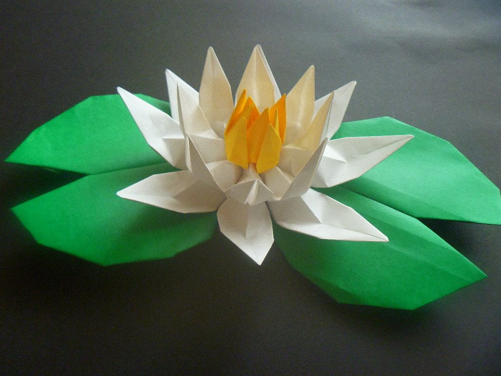 Оригами из лотос: Лотос оригами схема пошаговая инструкция