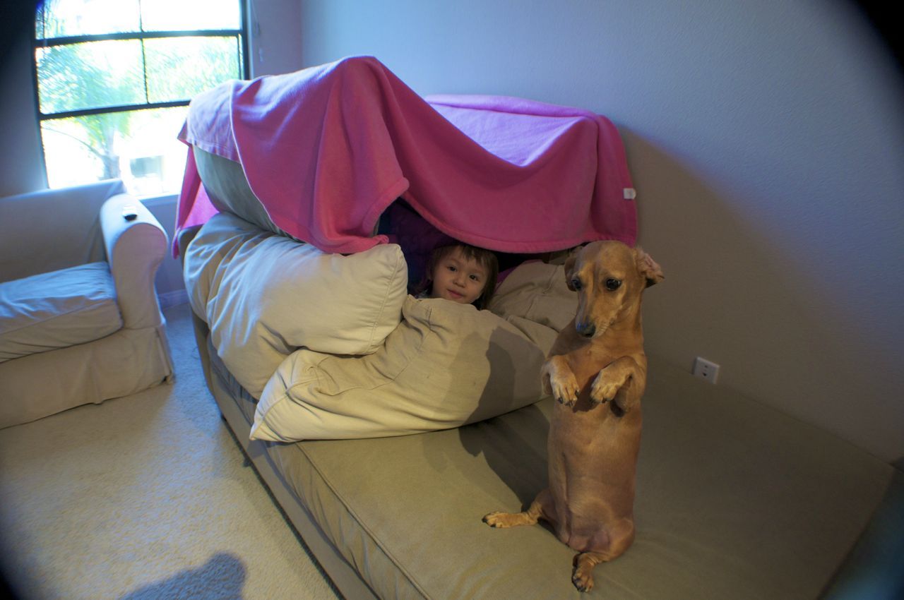 Как сделать из одеяла дом: Как построить шалаш из одеял и подушек дома?