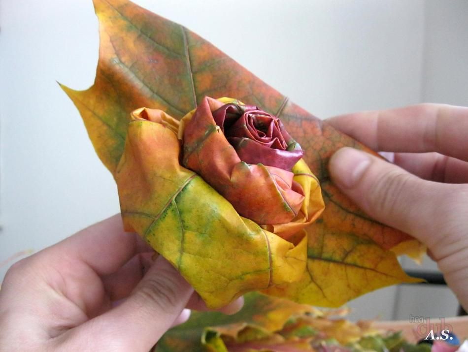 Как сделать цветок из листьев клена: Роза из листьев Клена. Как сделать цветок