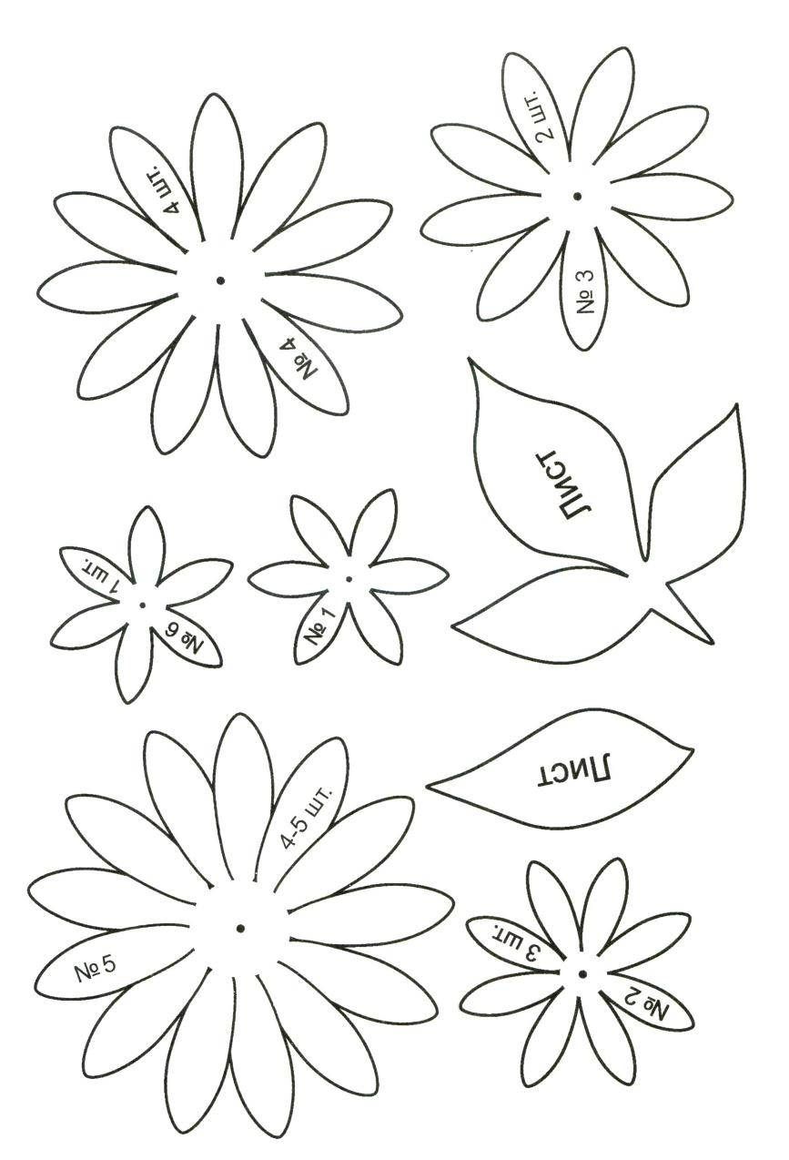 Цветы объемные из бумаги шаблоны: Цветы из бумаги своими руками: схемы и шаблоны