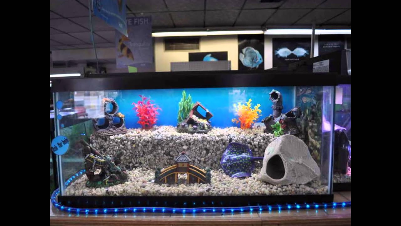 Аквариум оформление своими руками: 21 идея декораций для аквариума: делаем декор своими руками